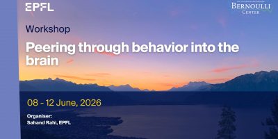 Copy of Copy of 2 - Bernoulli Poster Template (Présentation) - 9