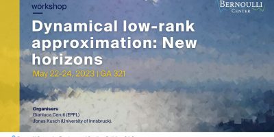 Dynamical low-rank approximation New horizons
