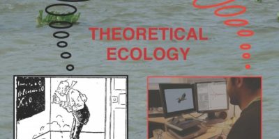 The role of mathematics and computer science in ecological theory